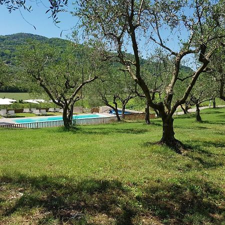 Il Vecchio Gelso - Agriturismo Rimini Montefiore Concaヴィラ エクステリア 写真