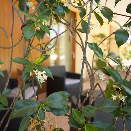 Il Vecchio Gelso - Agriturismo Rimini Montefiore Concaヴィラ エクステリア 写真
