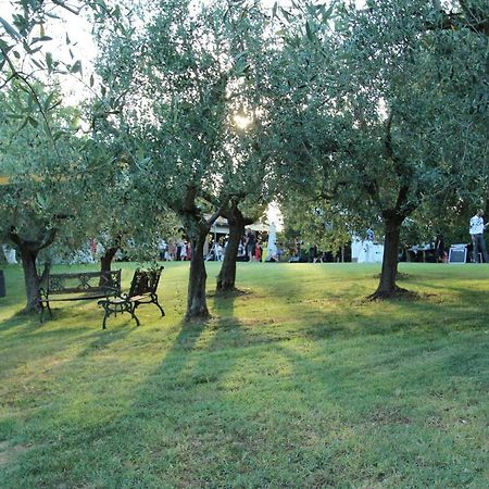 Il Vecchio Gelso - Agriturismo Rimini Montefiore Concaヴィラ エクステリア 写真