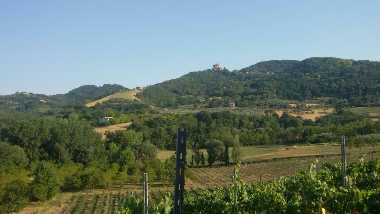 Il Vecchio Gelso - Agriturismo Rimini Montefiore Concaヴィラ エクステリア 写真
