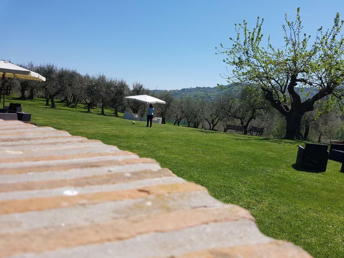 Il Vecchio Gelso - Agriturismo Rimini Montefiore Concaヴィラ エクステリア 写真