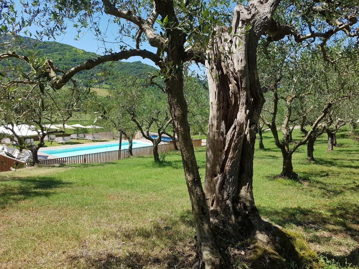 Il Vecchio Gelso - Agriturismo Rimini Montefiore Concaヴィラ エクステリア 写真