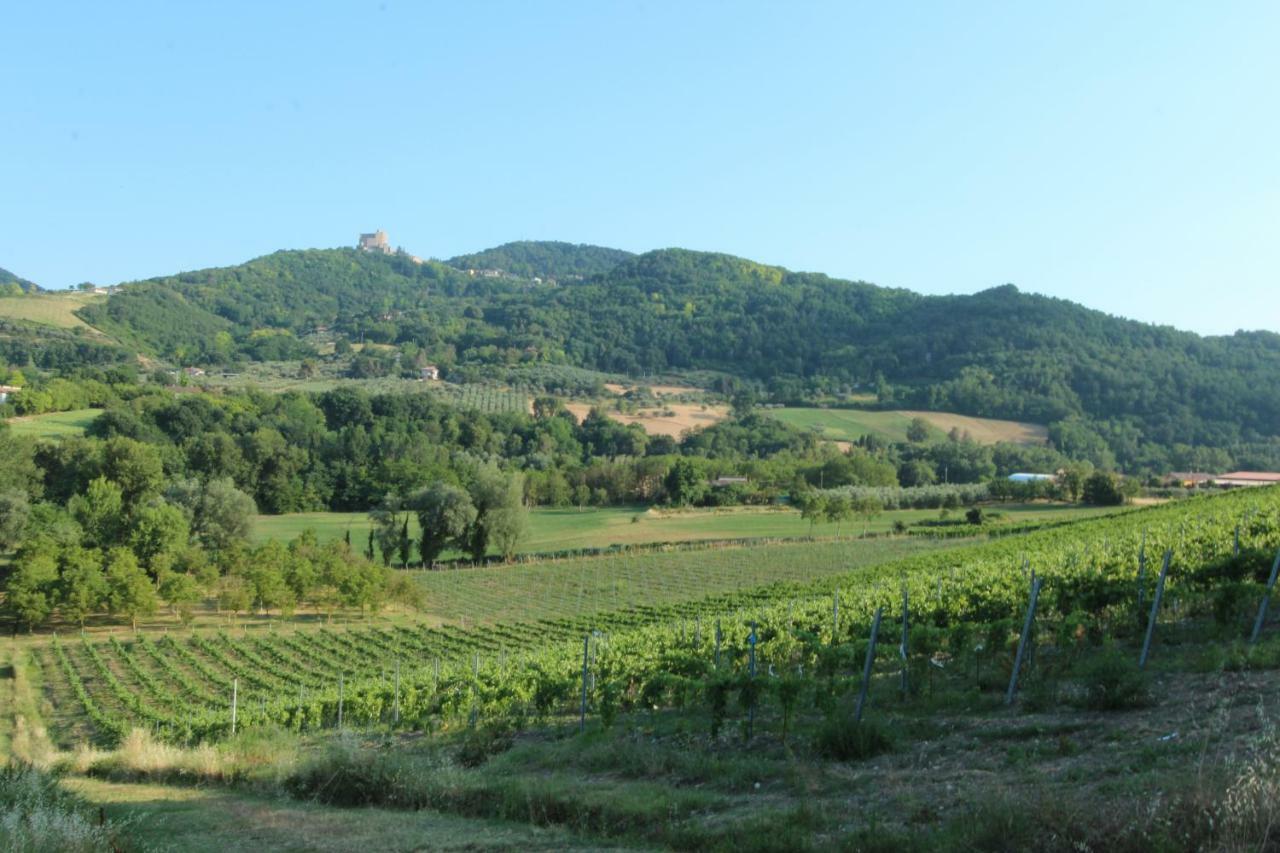 Il Vecchio Gelso - Agriturismo Rimini Montefiore Concaヴィラ エクステリア 写真