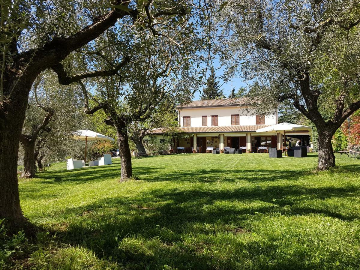 Il Vecchio Gelso - Agriturismo Rimini Montefiore Concaヴィラ エクステリア 写真