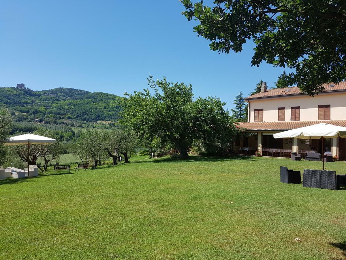 Il Vecchio Gelso - Agriturismo Rimini Montefiore Concaヴィラ エクステリア 写真