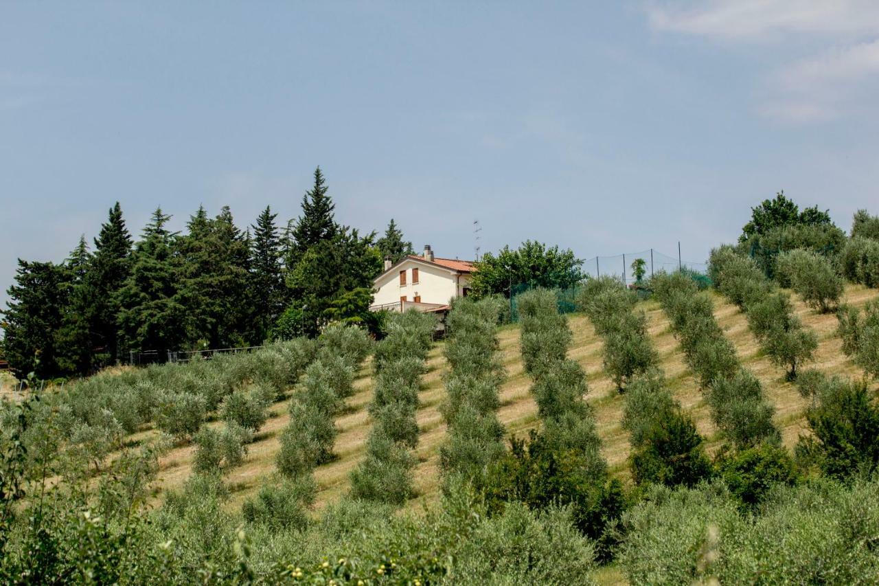Il Vecchio Gelso - Agriturismo Rimini Montefiore Concaヴィラ エクステリア 写真