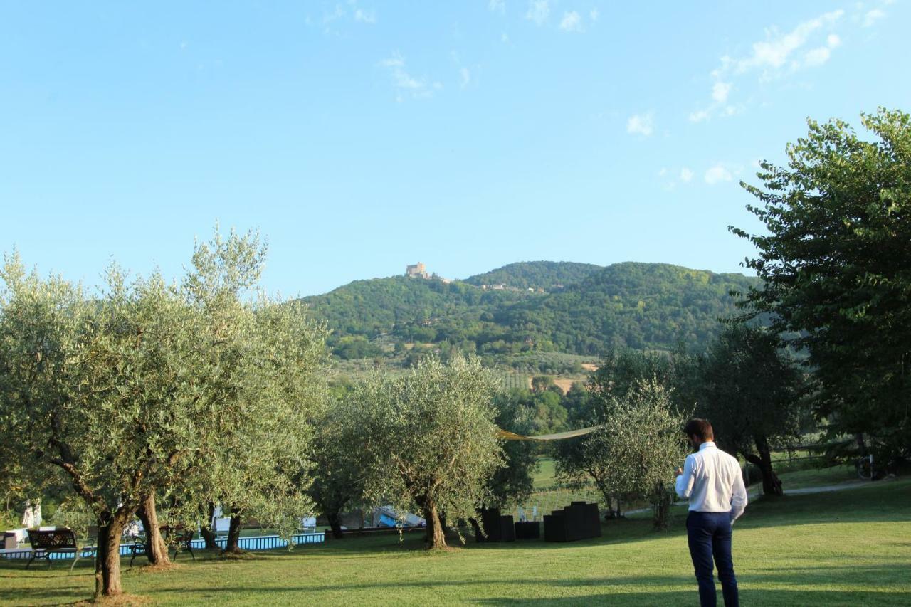 Il Vecchio Gelso - Agriturismo Rimini Montefiore Concaヴィラ エクステリア 写真