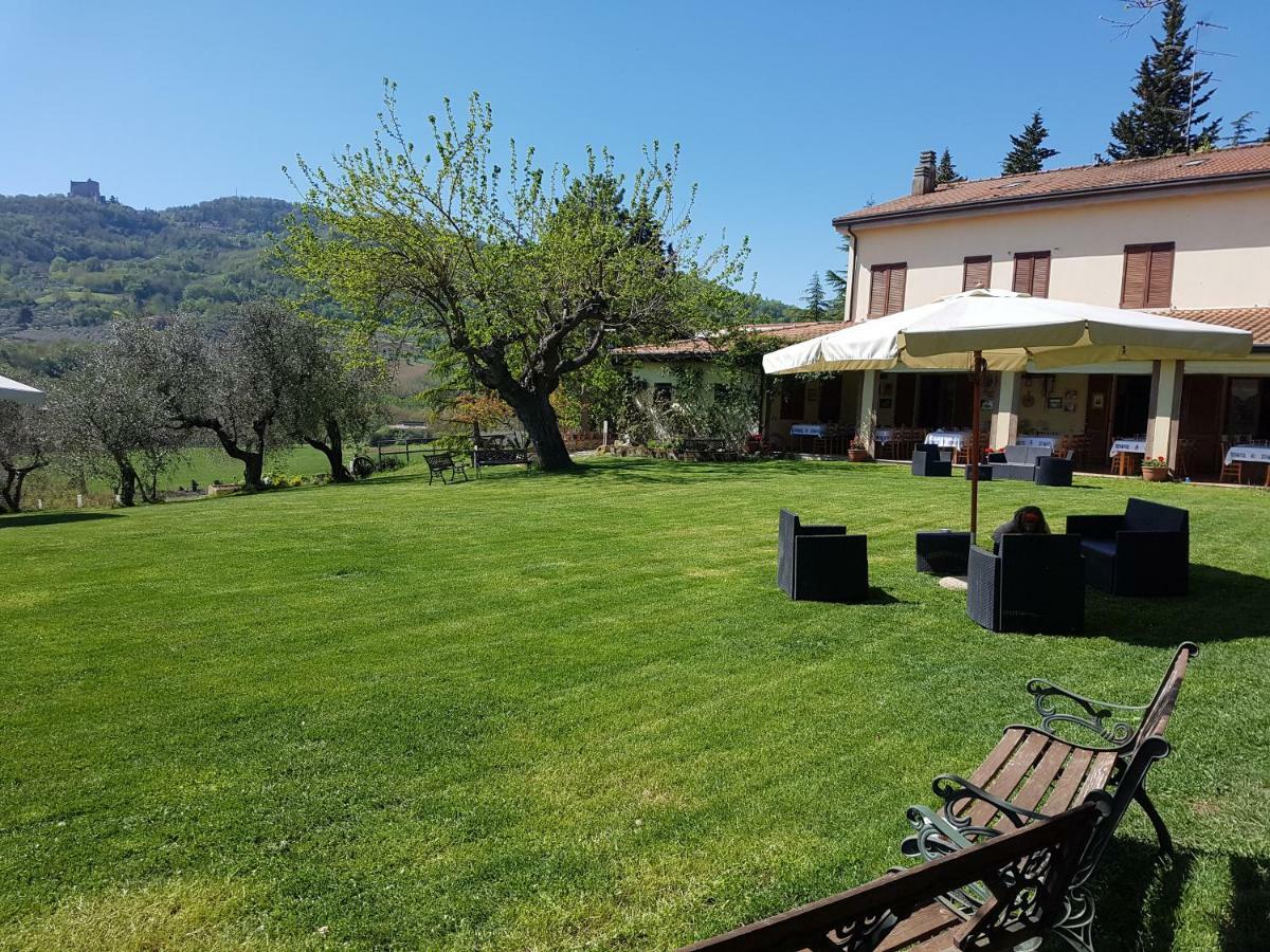 Il Vecchio Gelso - Agriturismo Rimini Montefiore Concaヴィラ エクステリア 写真