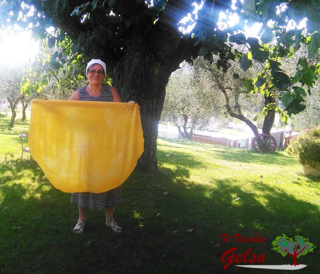 Il Vecchio Gelso - Agriturismo Rimini Montefiore Concaヴィラ エクステリア 写真