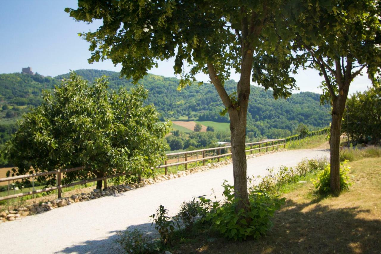 Il Vecchio Gelso - Agriturismo Rimini Montefiore Concaヴィラ エクステリア 写真