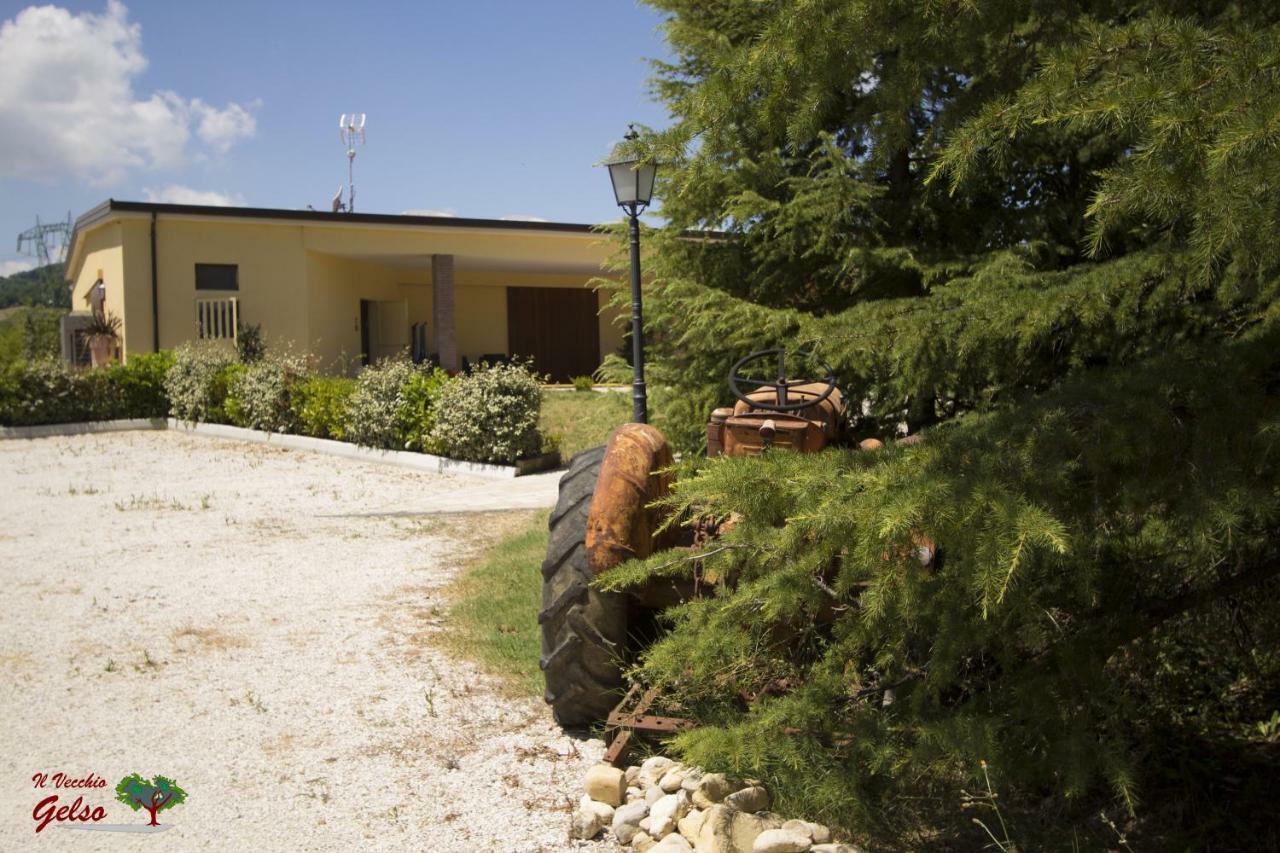 Il Vecchio Gelso - Agriturismo Rimini Montefiore Concaヴィラ エクステリア 写真