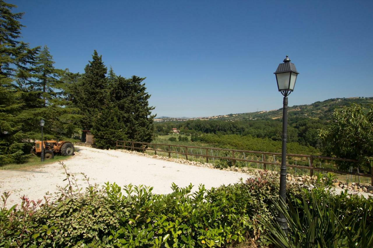 Il Vecchio Gelso - Agriturismo Rimini Montefiore Concaヴィラ エクステリア 写真