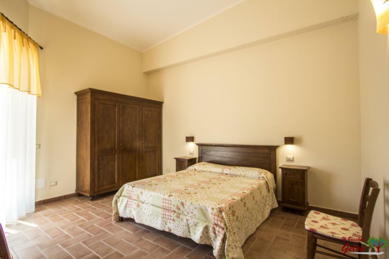 Il Vecchio Gelso - Agriturismo Rimini Montefiore Concaヴィラ エクステリア 写真