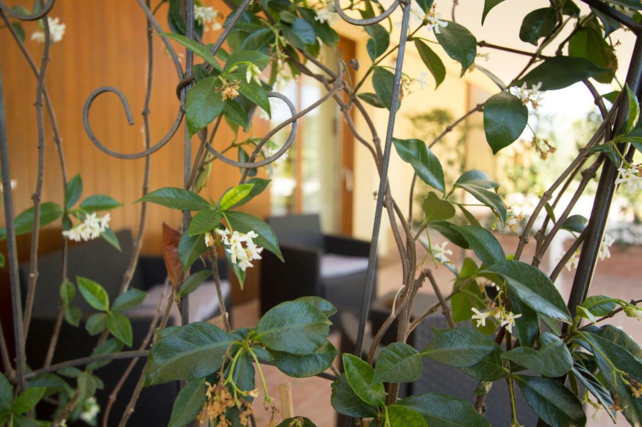 Il Vecchio Gelso - Agriturismo Rimini Montefiore Concaヴィラ エクステリア 写真