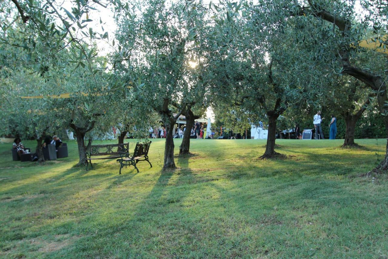 Il Vecchio Gelso - Agriturismo Rimini Montefiore Concaヴィラ エクステリア 写真