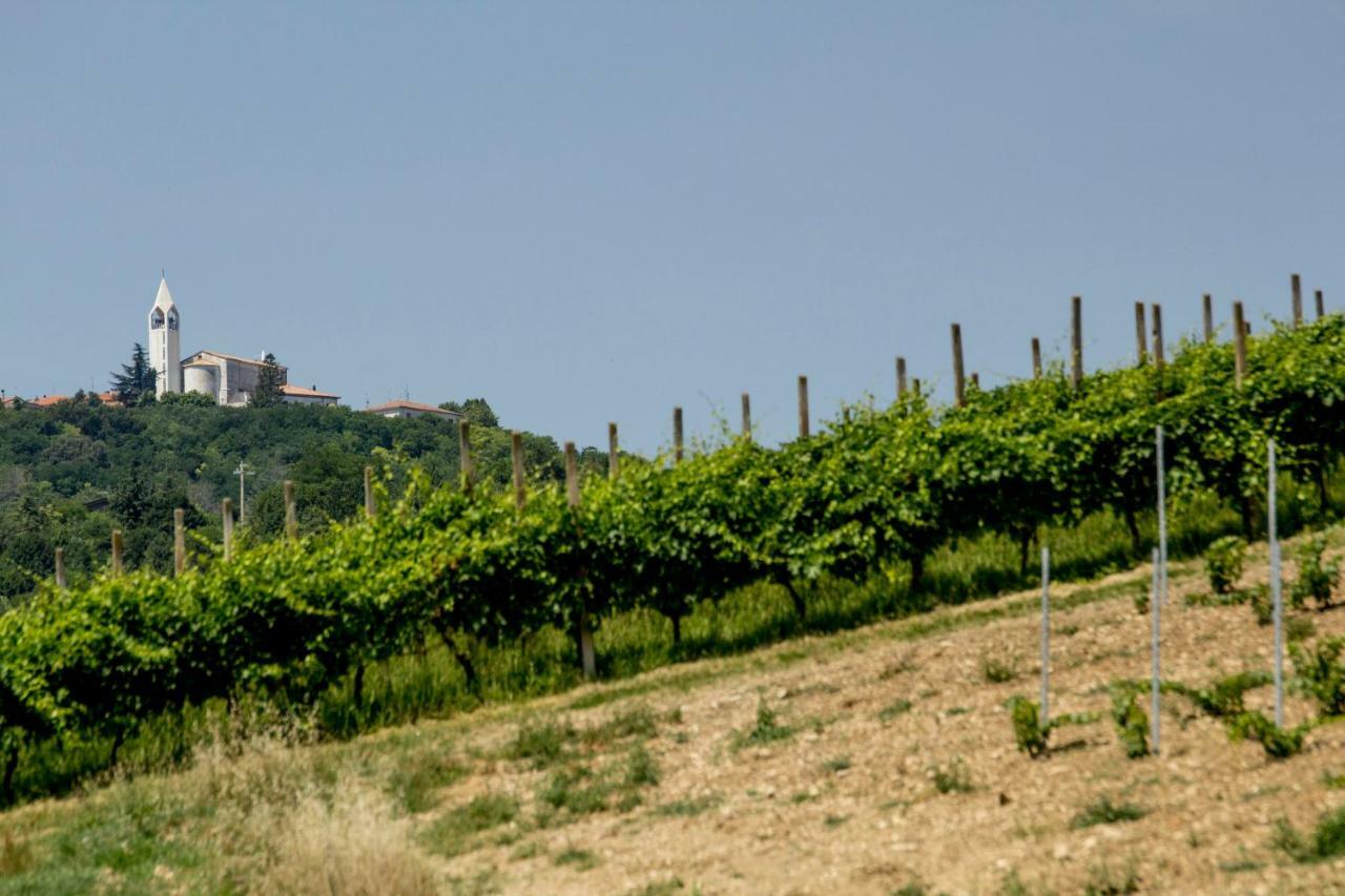 Il Vecchio Gelso - Agriturismo Rimini Montefiore Concaヴィラ エクステリア 写真