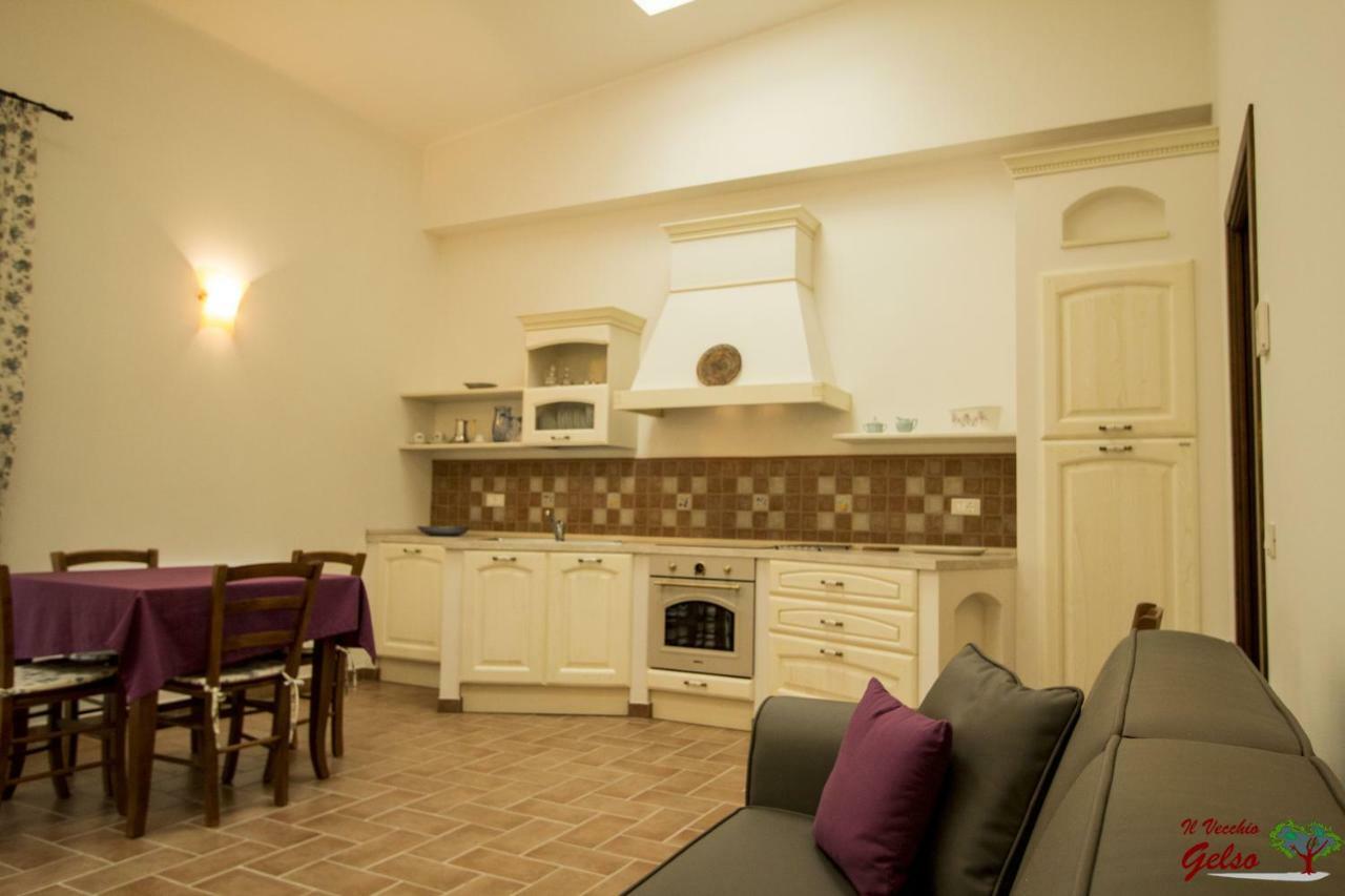 Il Vecchio Gelso - Agriturismo Rimini Montefiore Concaヴィラ エクステリア 写真
