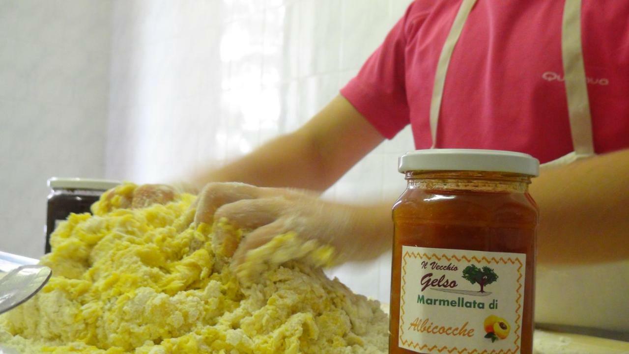 Il Vecchio Gelso - Agriturismo Rimini Montefiore Concaヴィラ エクステリア 写真